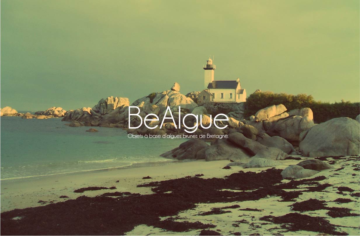 algue-bretagne-acceuil